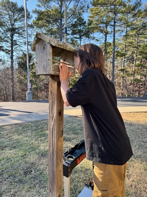 kai working on a birdhouse