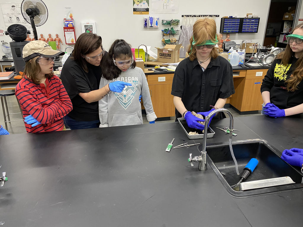 students watching a dissection