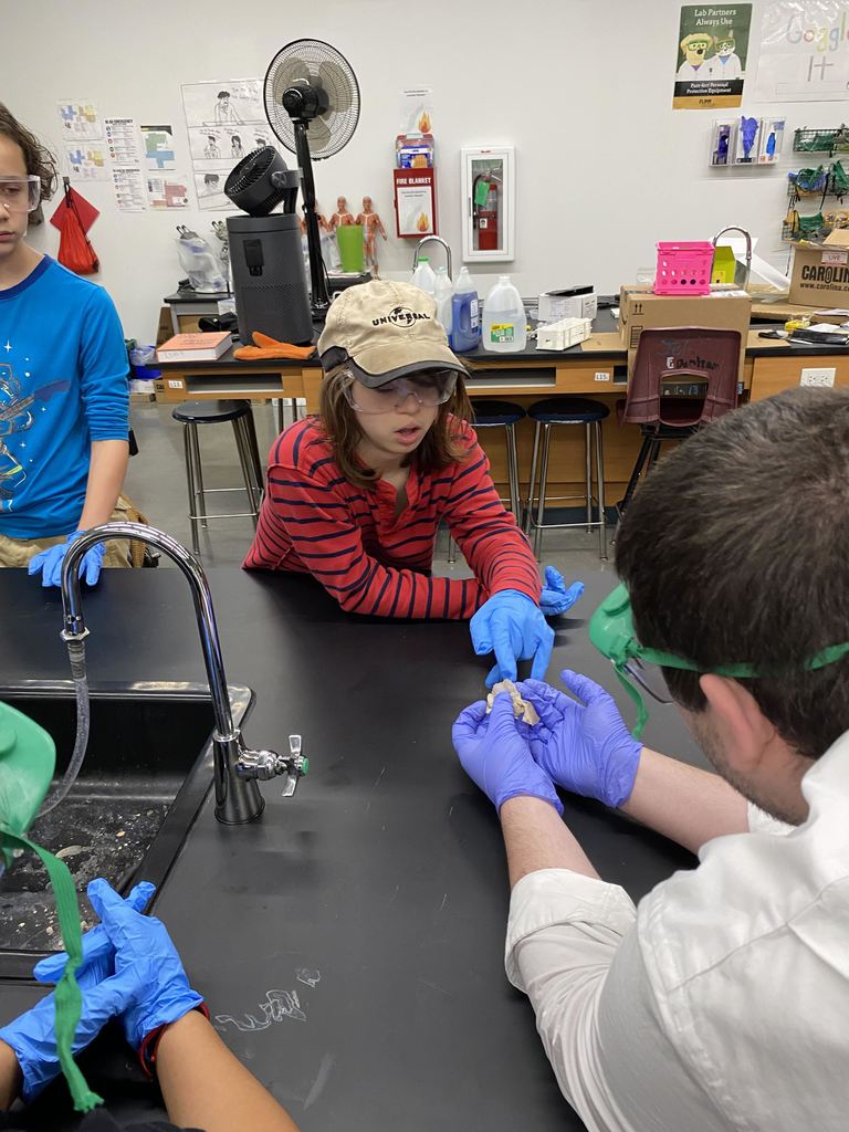 students watching a dissection