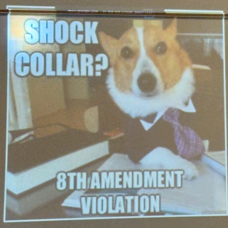 constitution day lessons.