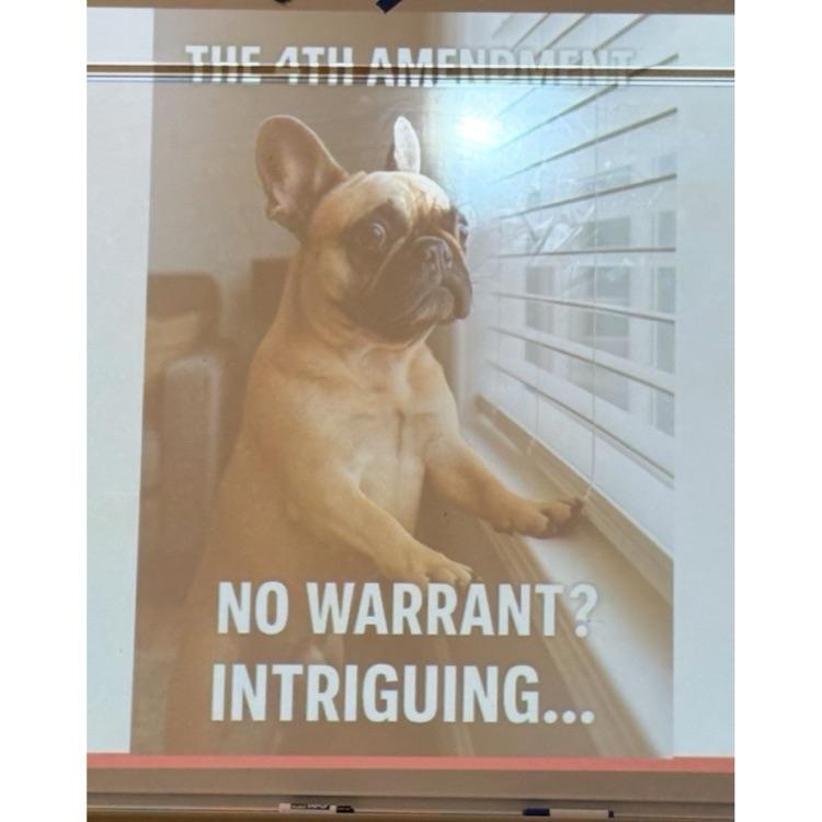 constitution day lessons.