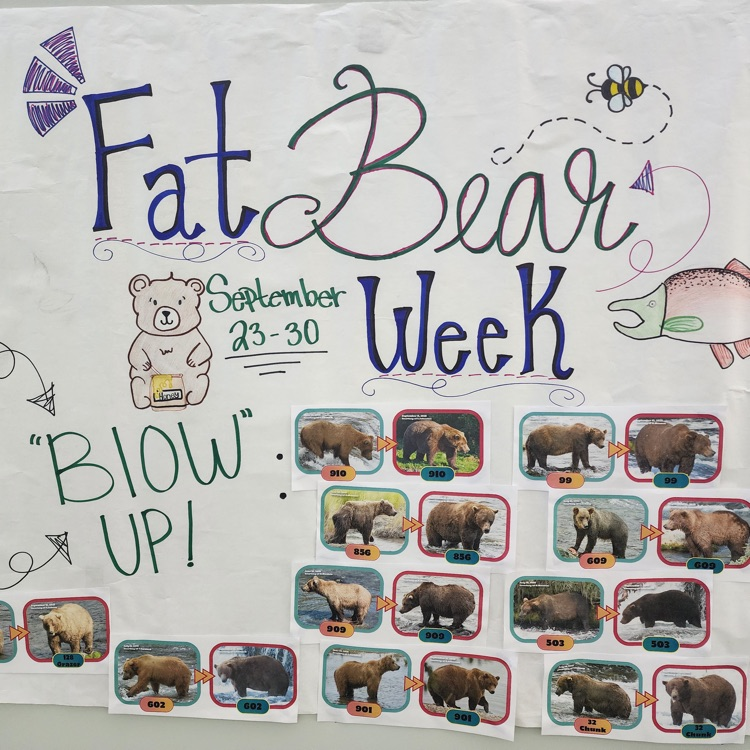 fat bear week