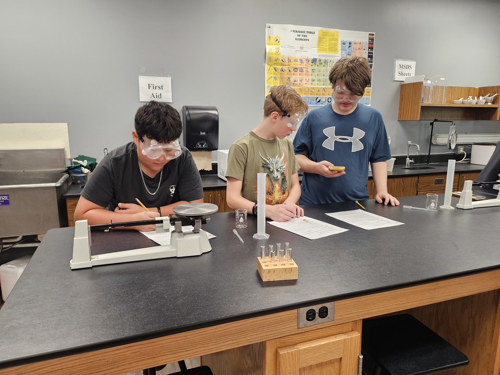 science lab activity