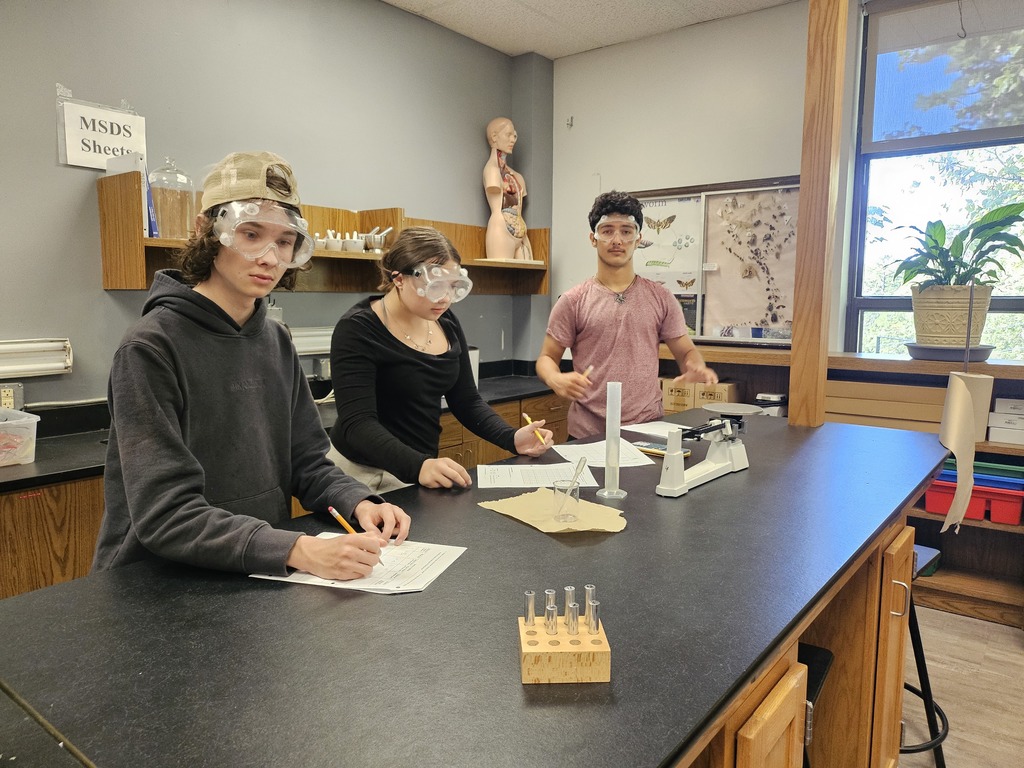 science lab activity