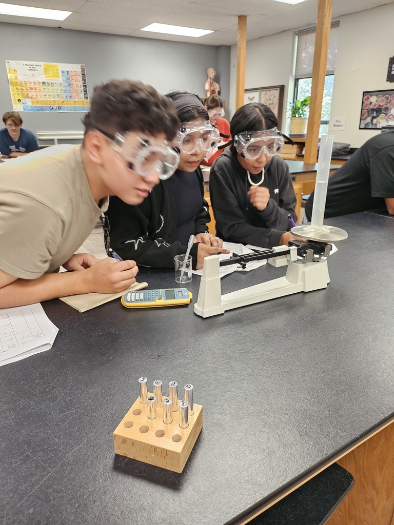 science lab activity