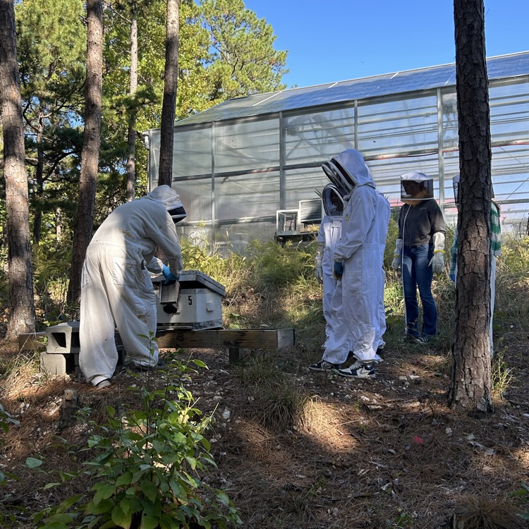 beehive students