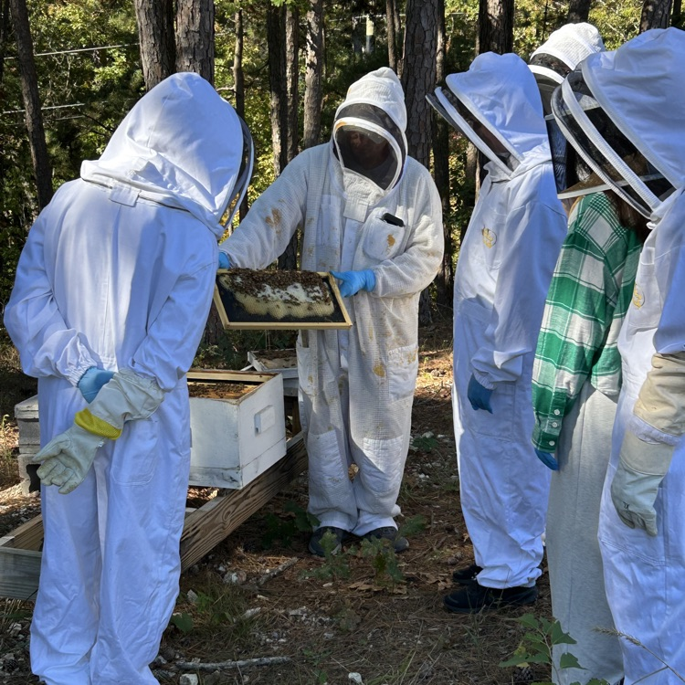 Today, Natural Resources students visited our FFA bee hives! 🐝 Students explored the hives up close—spotting eggs, larva, worker bees, and even the queen! To top it off, they got to enjoy a sweet taste of the honey our busy bees have been making 🍯✨