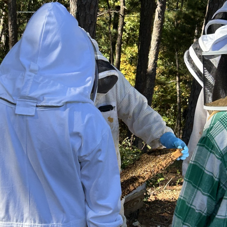 Today, Natural Resources students visited our FFA bee hives! 🐝 Students explored the hives up close—spotting eggs, larva, worker bees, and even the queen! To top it off, they got to enjoy a sweet taste of the honey our busy bees have been making 🍯✨