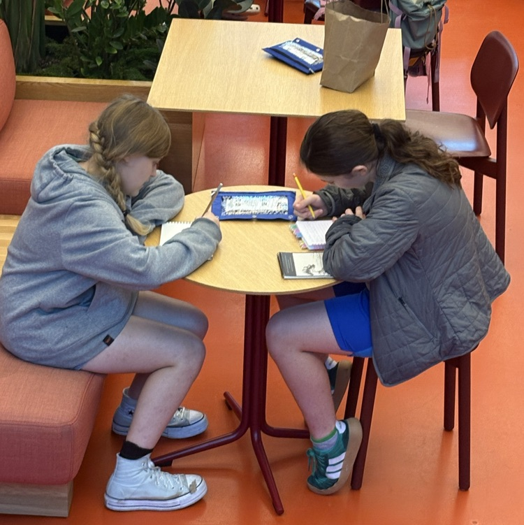 students at the art museum 