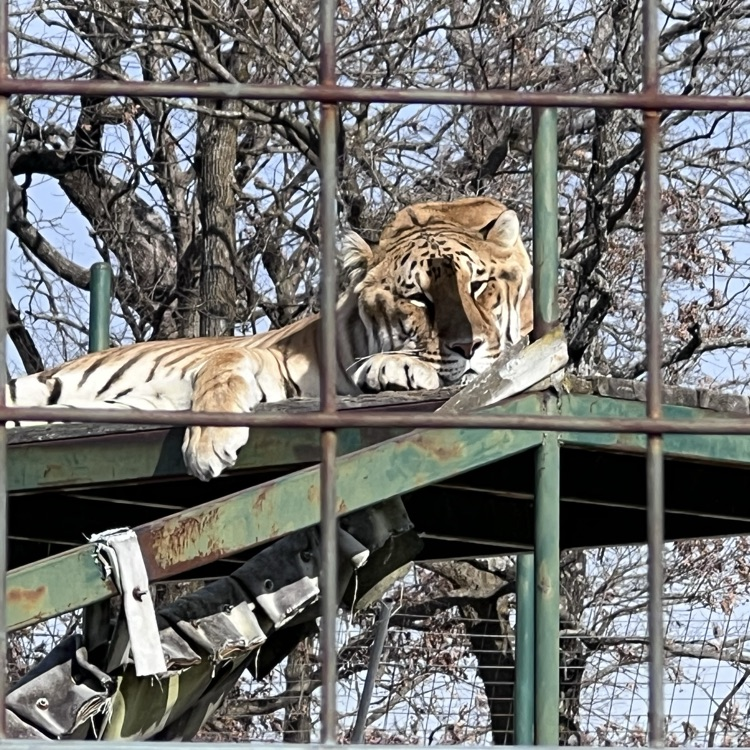 students visiting animal refuge