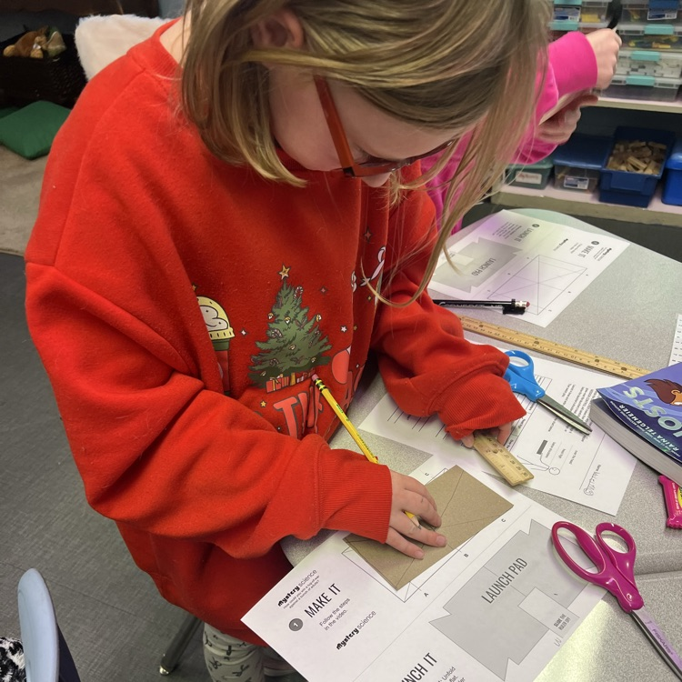 students doing a science project with frogs
