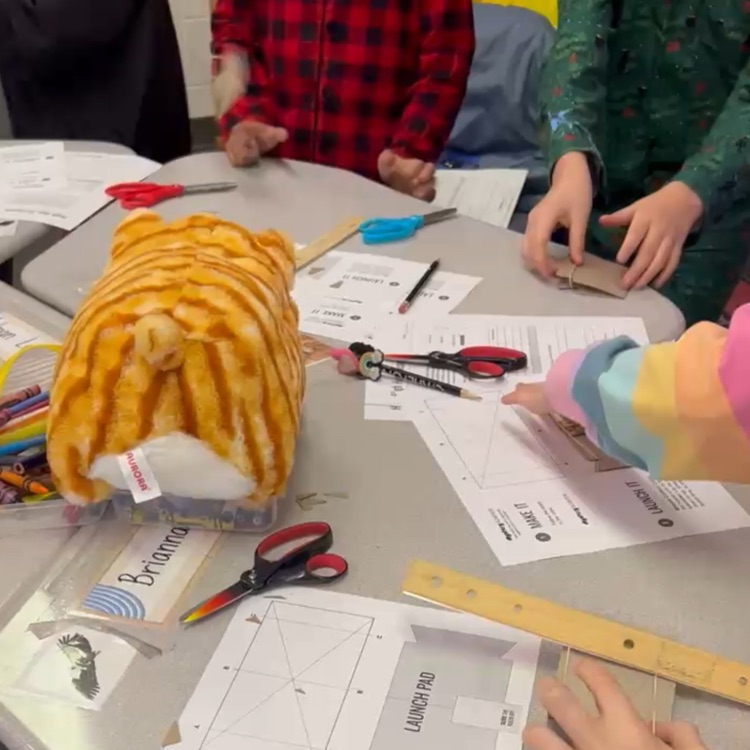 students doing a science project with frogs