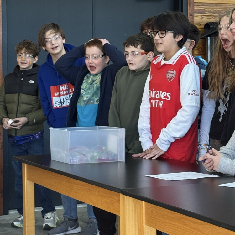 students completing a nitrogen lab