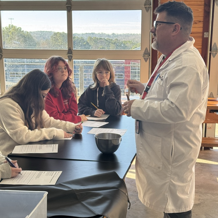 students completing a nitrogen lab