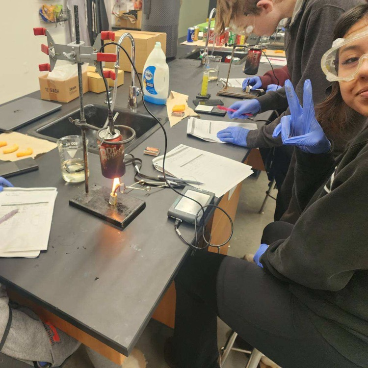 science doing science experiments 