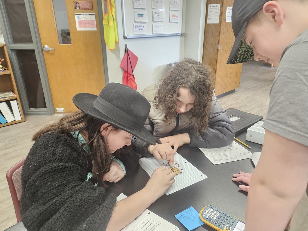 student doing science project