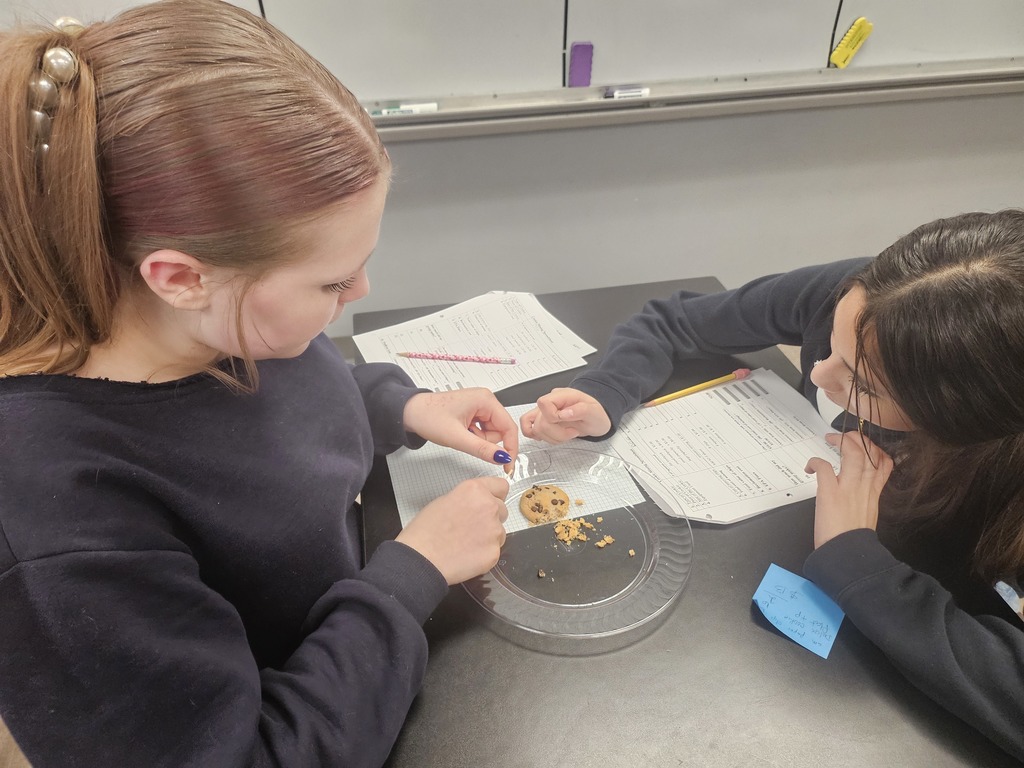student doing science project