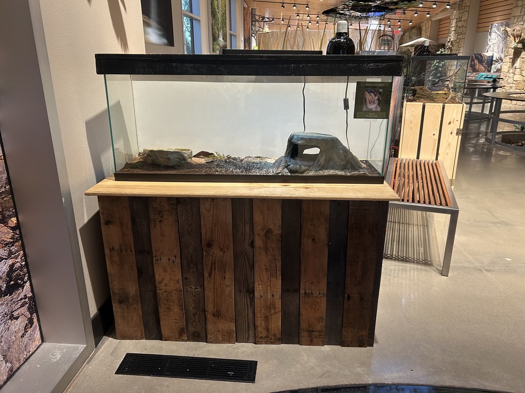 Stand with Snake Enclosure