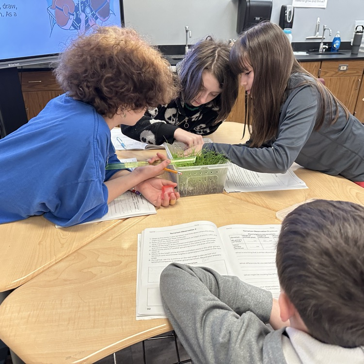 students doing science project