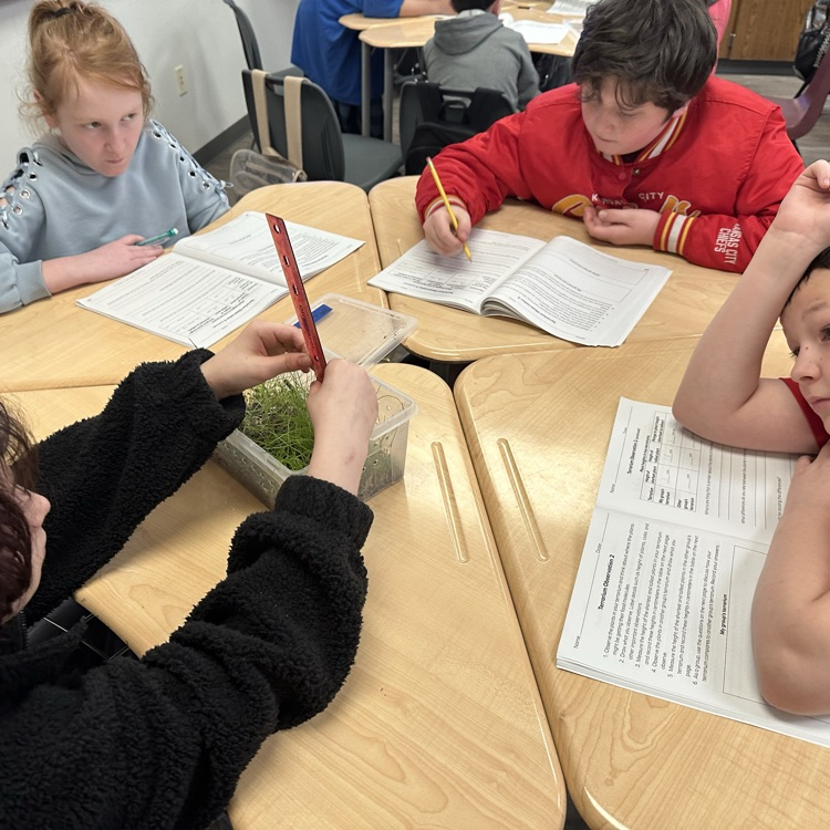 students doing science project