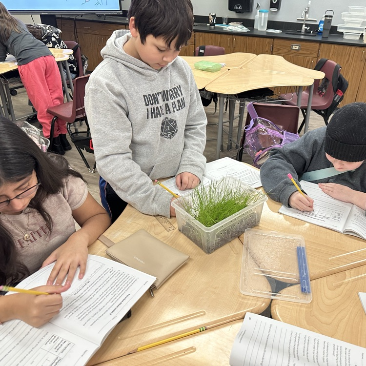 students doing science project
