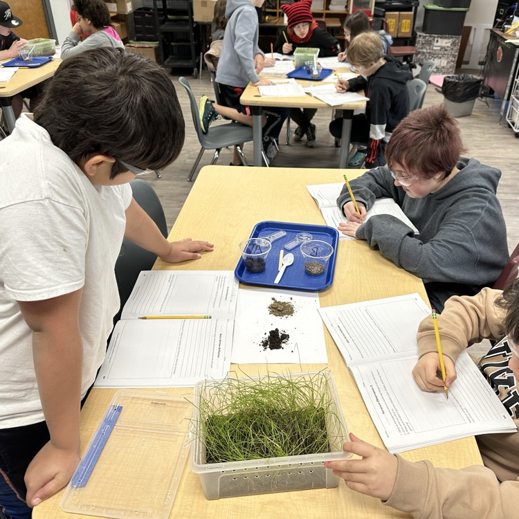 students doing science projects 
