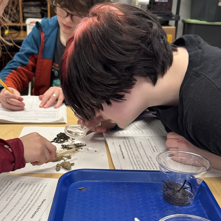 students doing science projects 