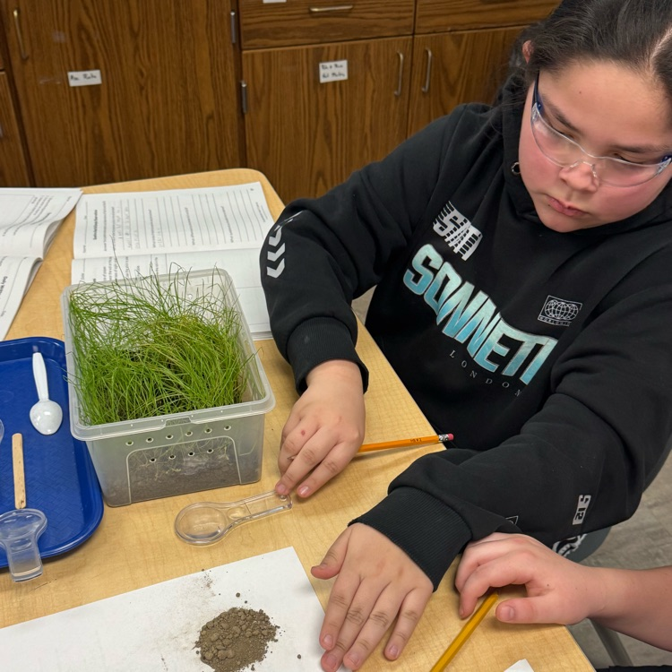 students doing science projects 