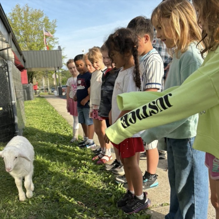 students learning in school