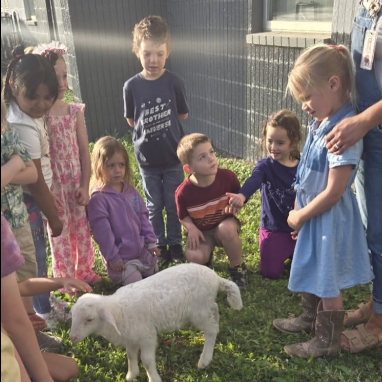 students learning in school