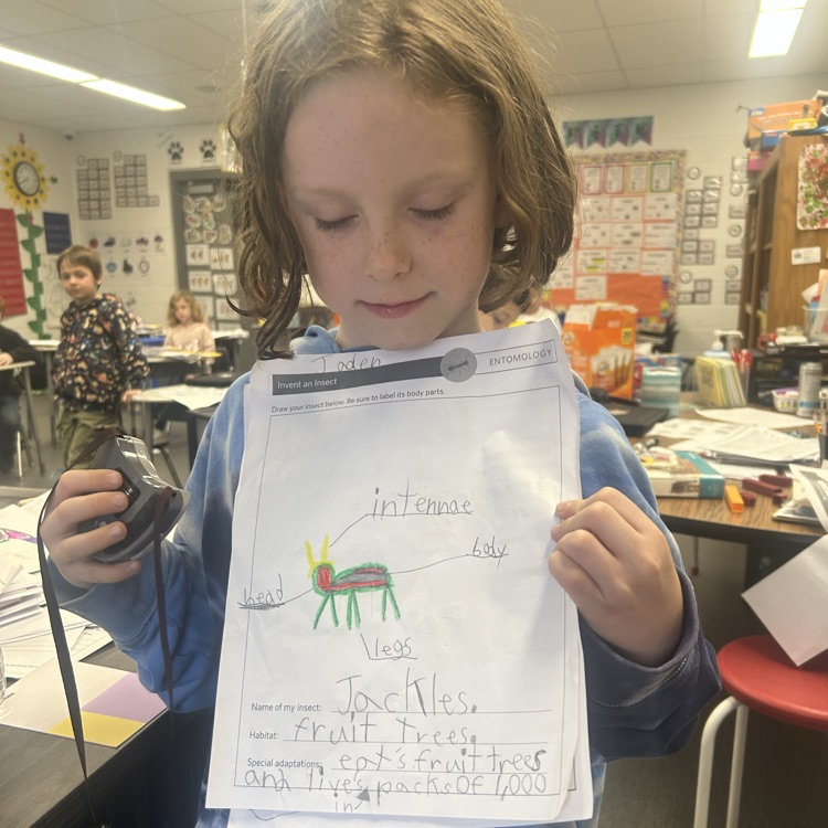 students creating bugs project 