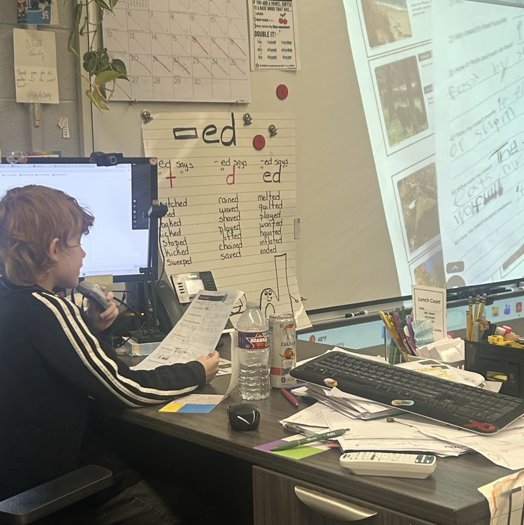 students creating bugs project 