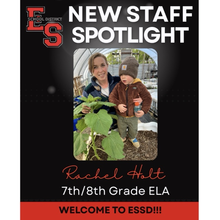welcome to Rachel holt