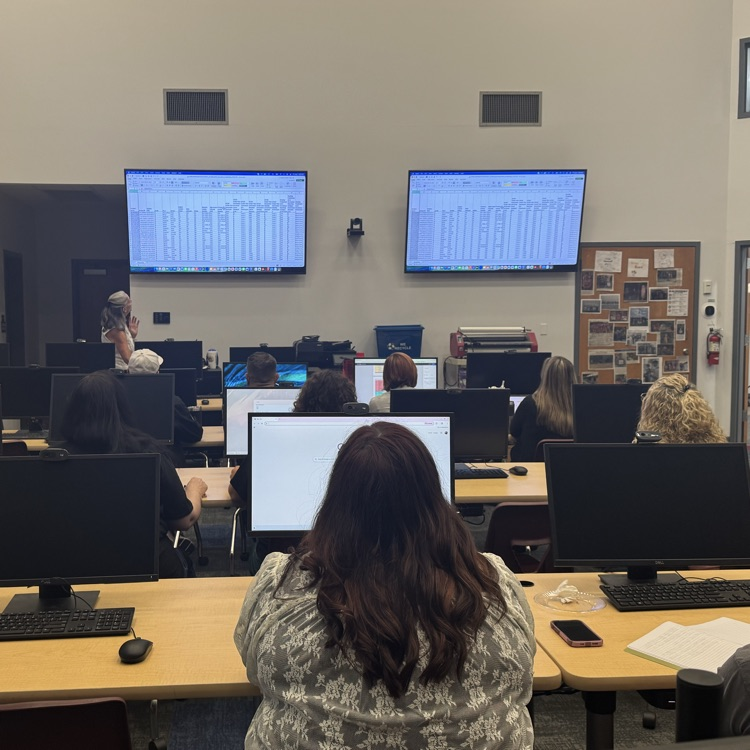 people looking at data