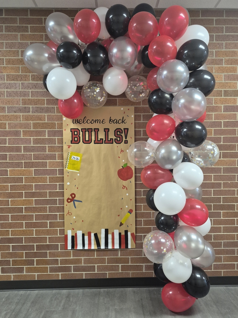 bulls