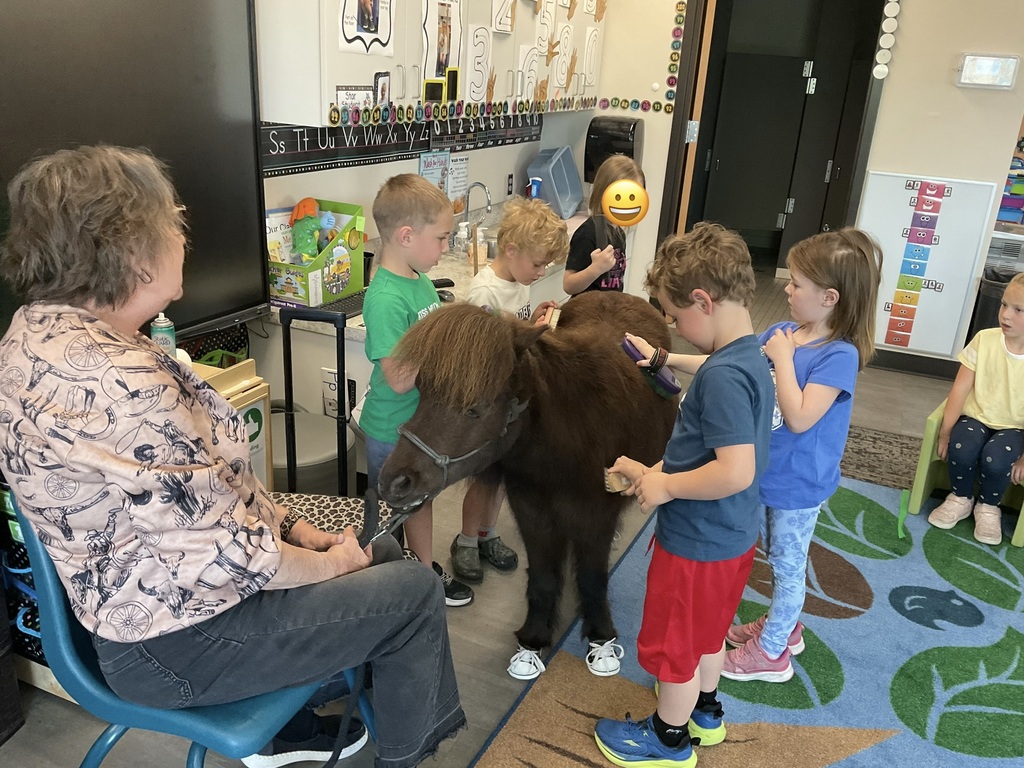 Students brushing  a horse