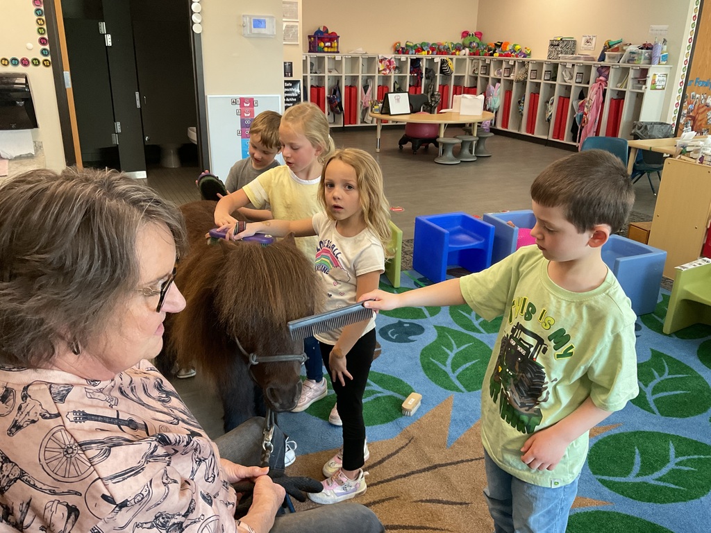 Students brushing  a horse