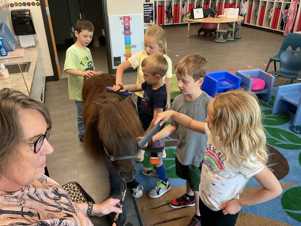 Students brushing  a horse