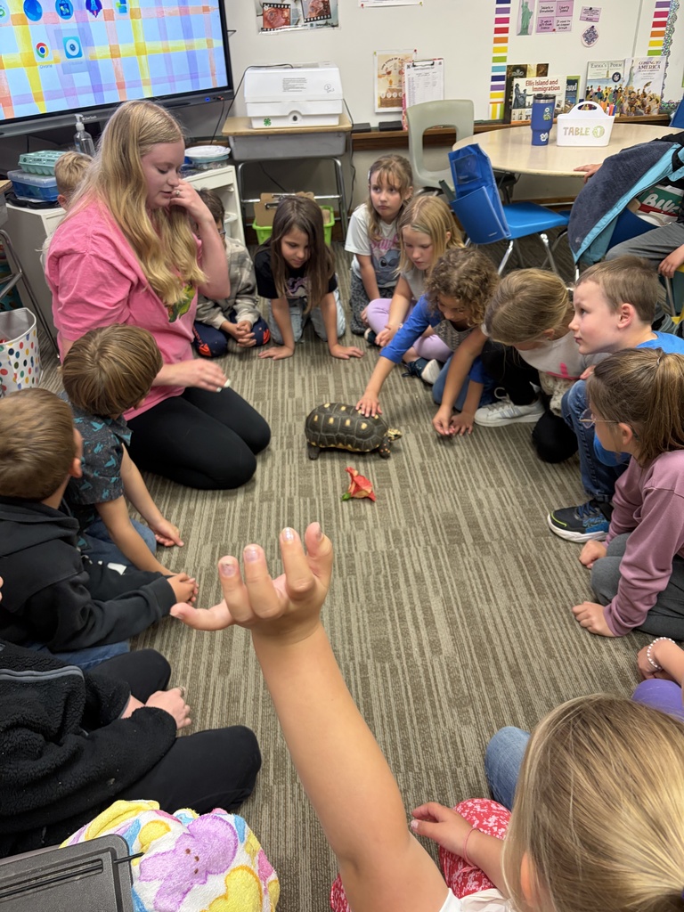 Students with tortoise