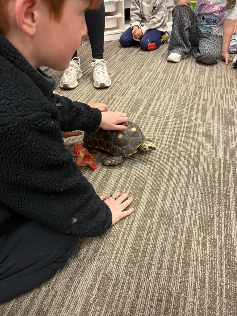Students with tortoise