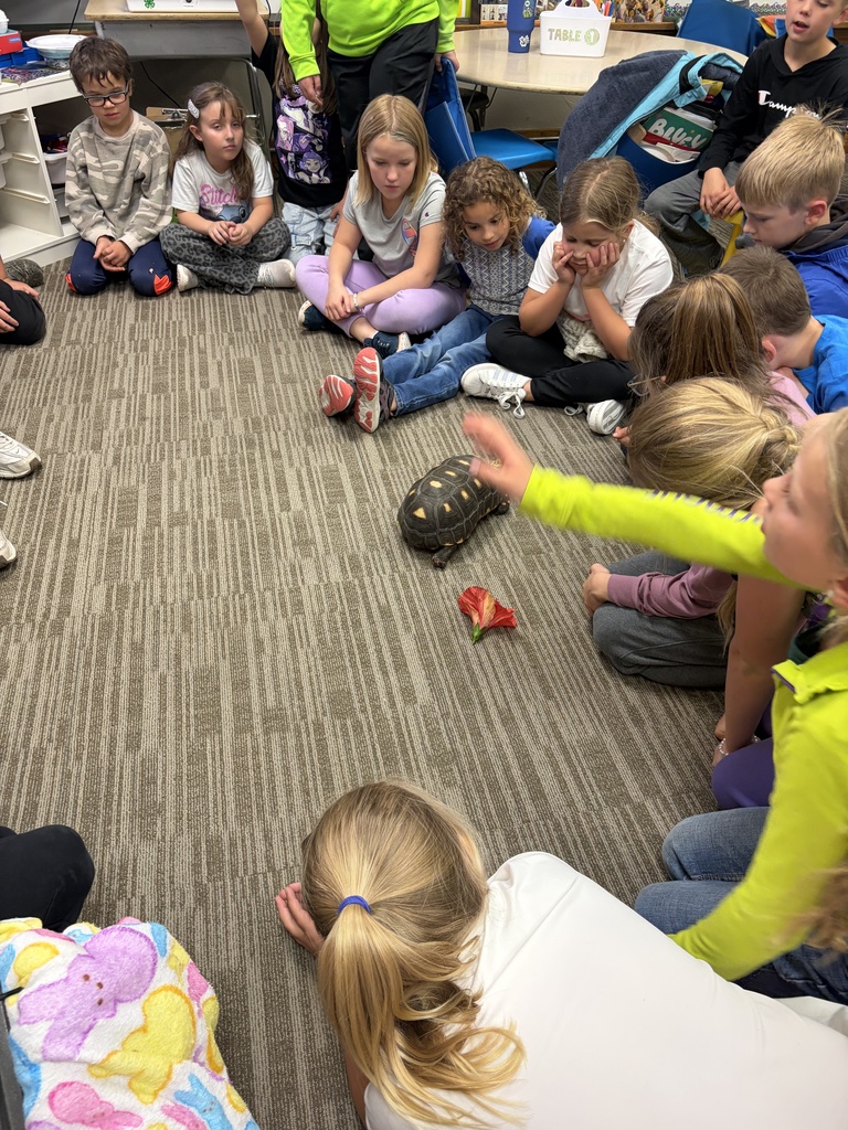 Students with tortoise