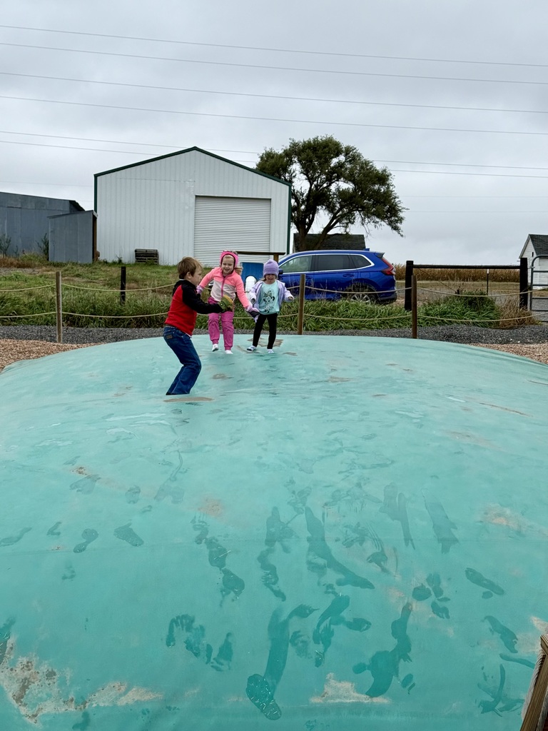 Students bouncing on jump pillow