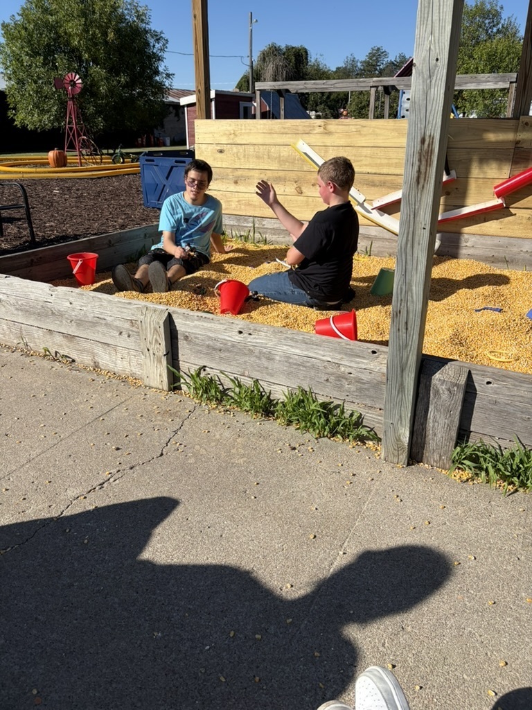corn