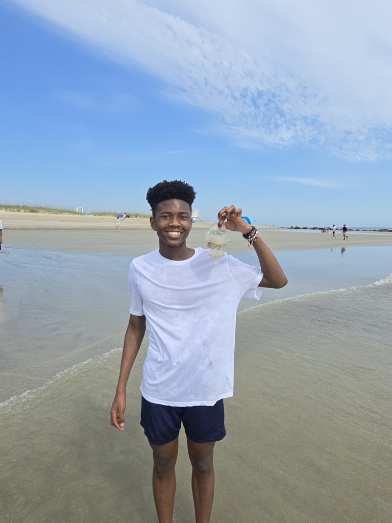 If You're Bored, Try the Beach