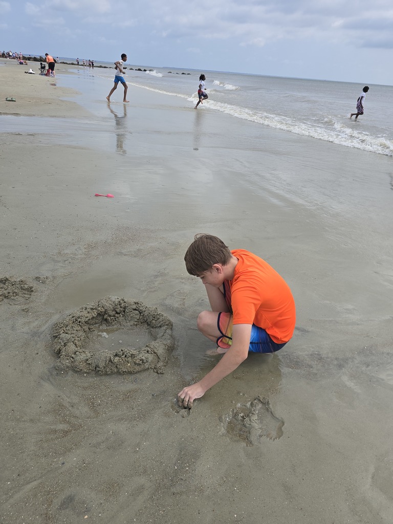 If You're Bored, Try the Beach