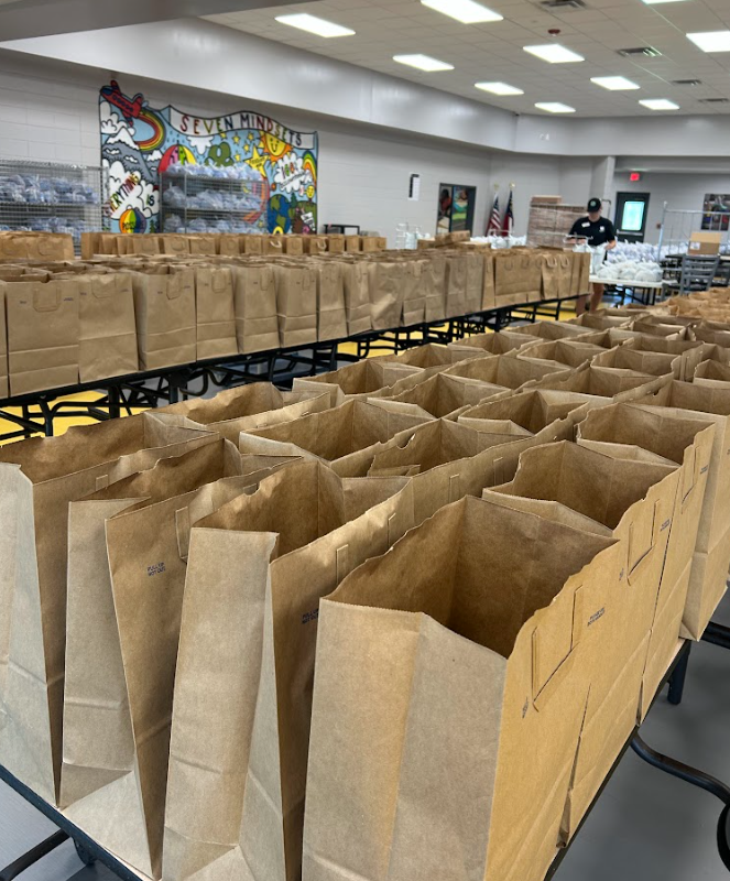 Picture of bags for meal prep