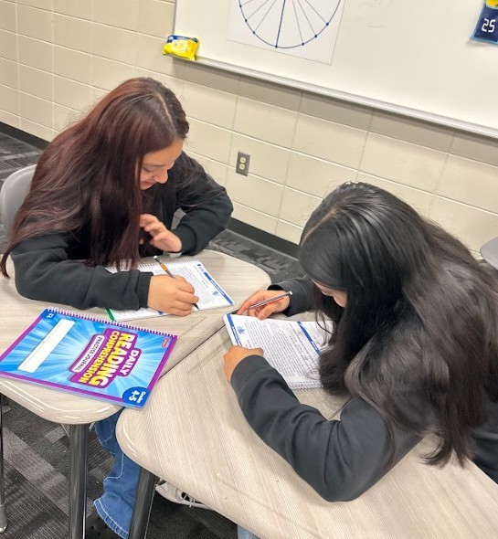 Reading practice with students 