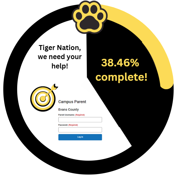 Graphic with 38 % completion rate