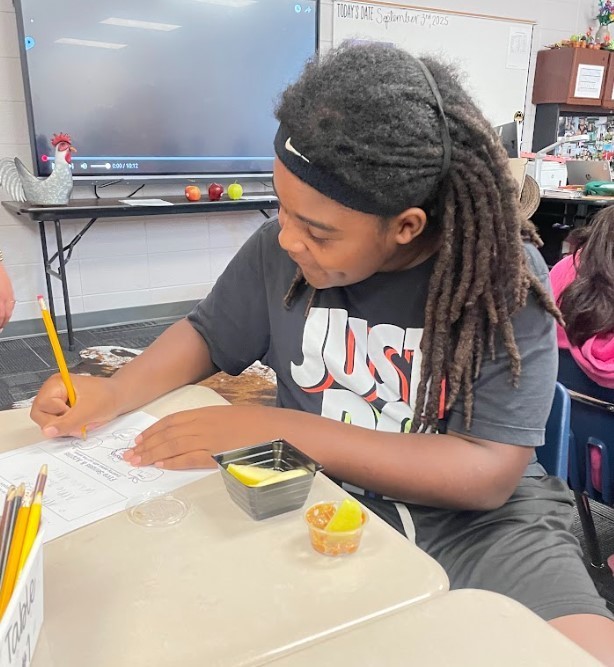 student working on his apple worksheet
