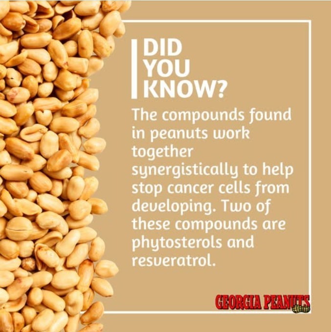 Did You Know? The compounds found in peanuts work together synergistically to help stop cancer cells from developing. Two of these compounds are phytosterols and resveratrol.